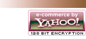 3B Tech is a proud member of Yahoo! Shopping- the best, most secure place to comparison shop for your next PC