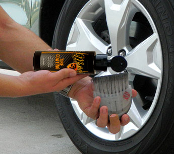 Apply DP Tire Coating with a soft bristle brush