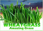 Wheatgrass - Amazing Graze Tees, Mugs and More
