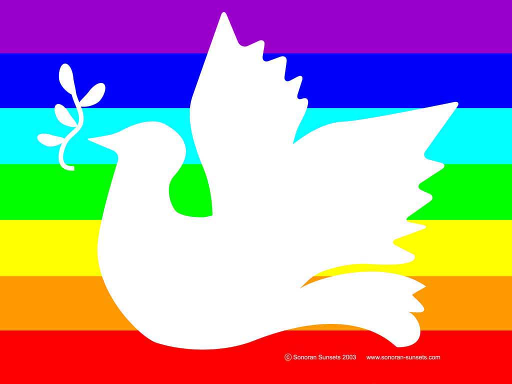 Peace Dove Wallpaper 1024 x 768
