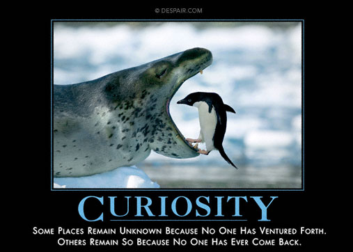 Curiosity Demotivator