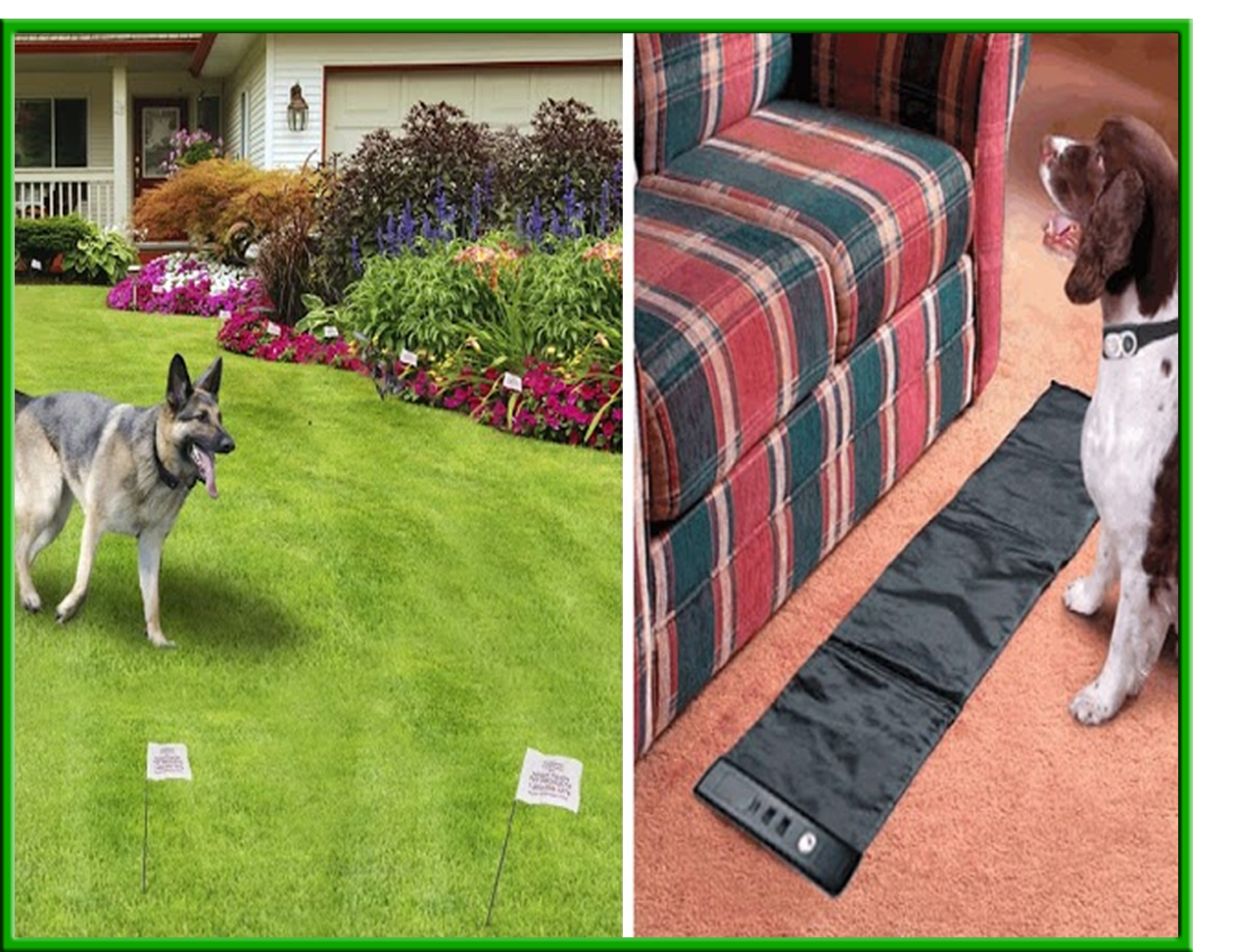 HUMANE CONTAIN Invisible Dog Fence PLUS Radio Mat Pet Trainer