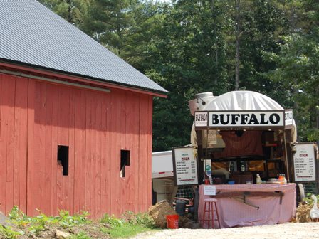 Buffalo covered wagon