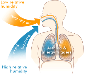 Effects of humidity on lungs