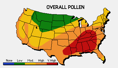 A sample pollen count