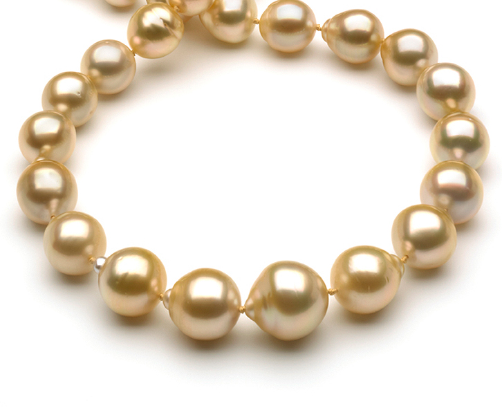 10 x 14.5mm Golden South Sea Necklace | American Pearl