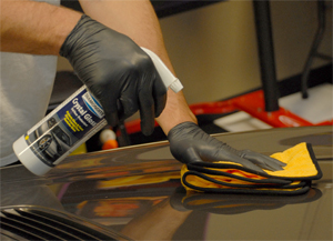 Use Diamondite Crystal Gloss Protectant to seal the paint and protect it against bugs.