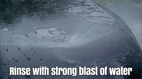 Rinse with strong blast of water.