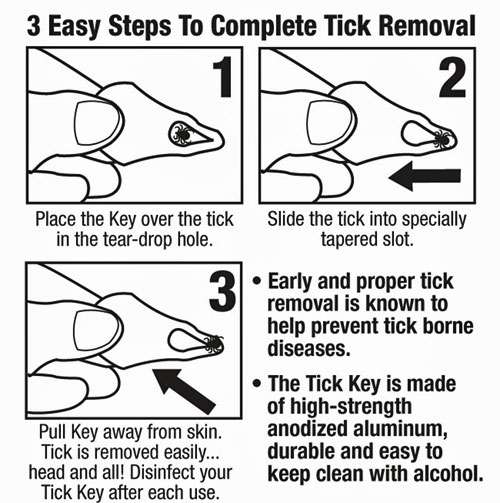 The Tick Key 