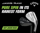 Jaws Raw Wedges
