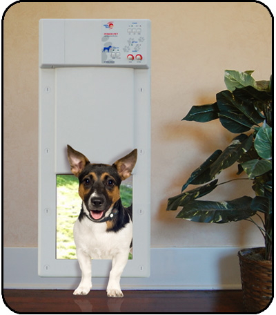 Perfect automatic pet door for your small dog or cat