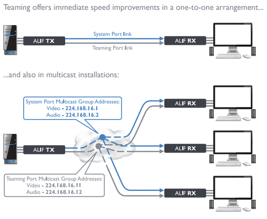 Adder ALIF1002R Redundant network - Dual Ethernet