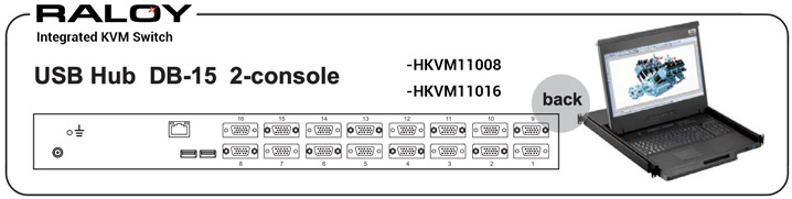 RWX119 Integrated DB-15 VGA Hub Combo KVM with 2 Consoles
