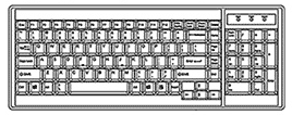 Raloy RWX119 Keyboard Icon