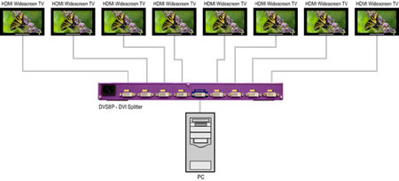 SmartAVI DVS8P DVI-D Splitter Application Diagram
