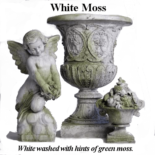 White Moss
