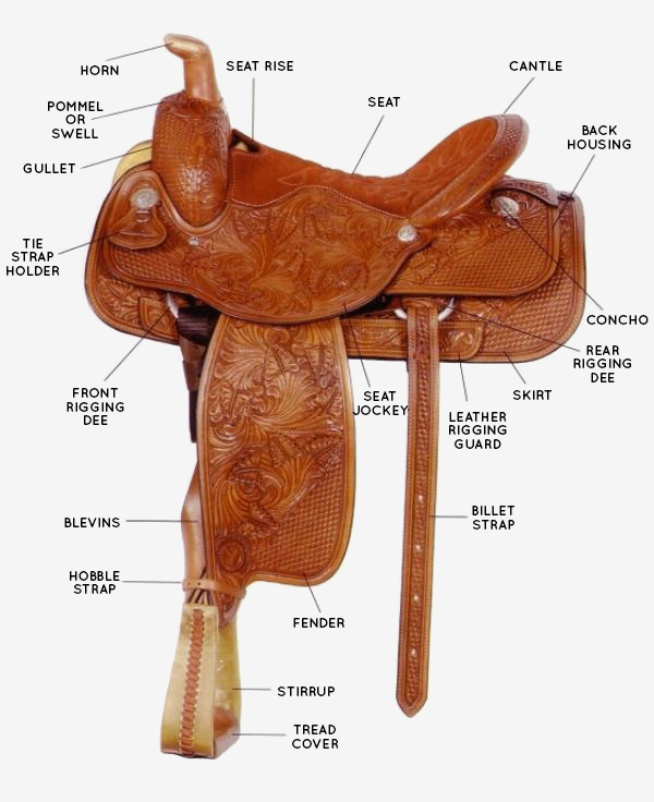 Interactive Western Saddle Parts Diagram