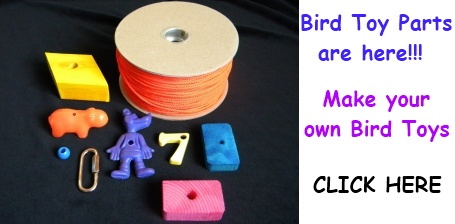Bird Toy Parts on Sale at FunTime Birdy