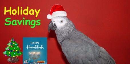FunTime Birdy Holiday Savings Sale