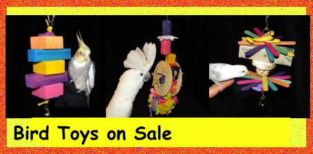 Bird Toys on Sale at FunTime Birdy