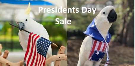 FunTime Birdy President's Day Sale