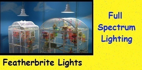 Full Spectrum Lighting on Sale at FunTime Birdy