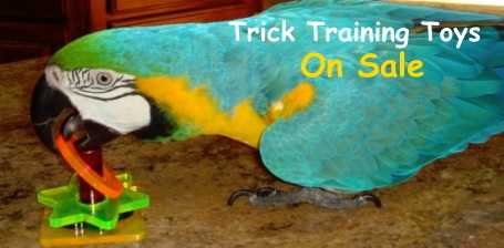 Trick Training Toys on Sale at FunTime Birdy