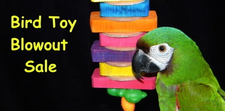 Bird Toy Blowout Sale