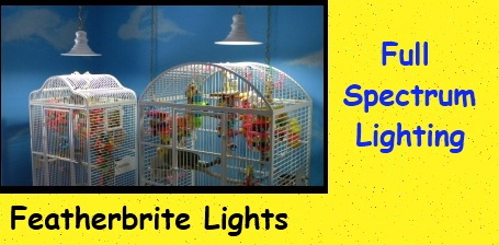Featherbrite Lights on Sale at FunTime Birdy