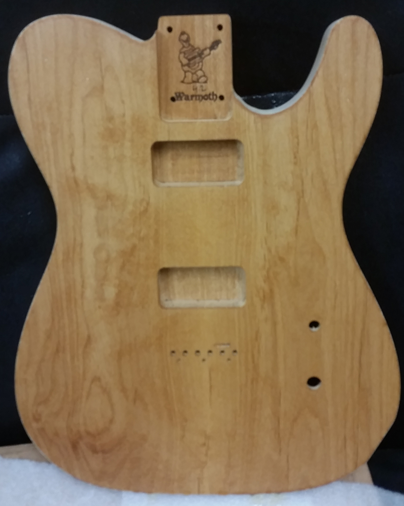 Fender Telecaster Cabronita body by Warmoth, view of front, wet