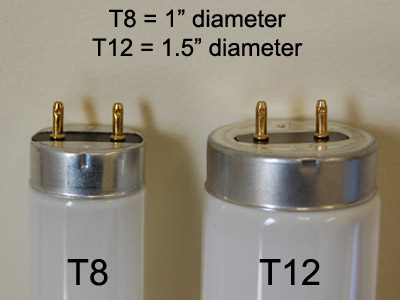 Examples of T8 and T12 ultraviolet lamps