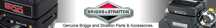 Briggs and Stratton Engine Parts