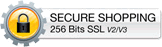 secure 256bit encryption