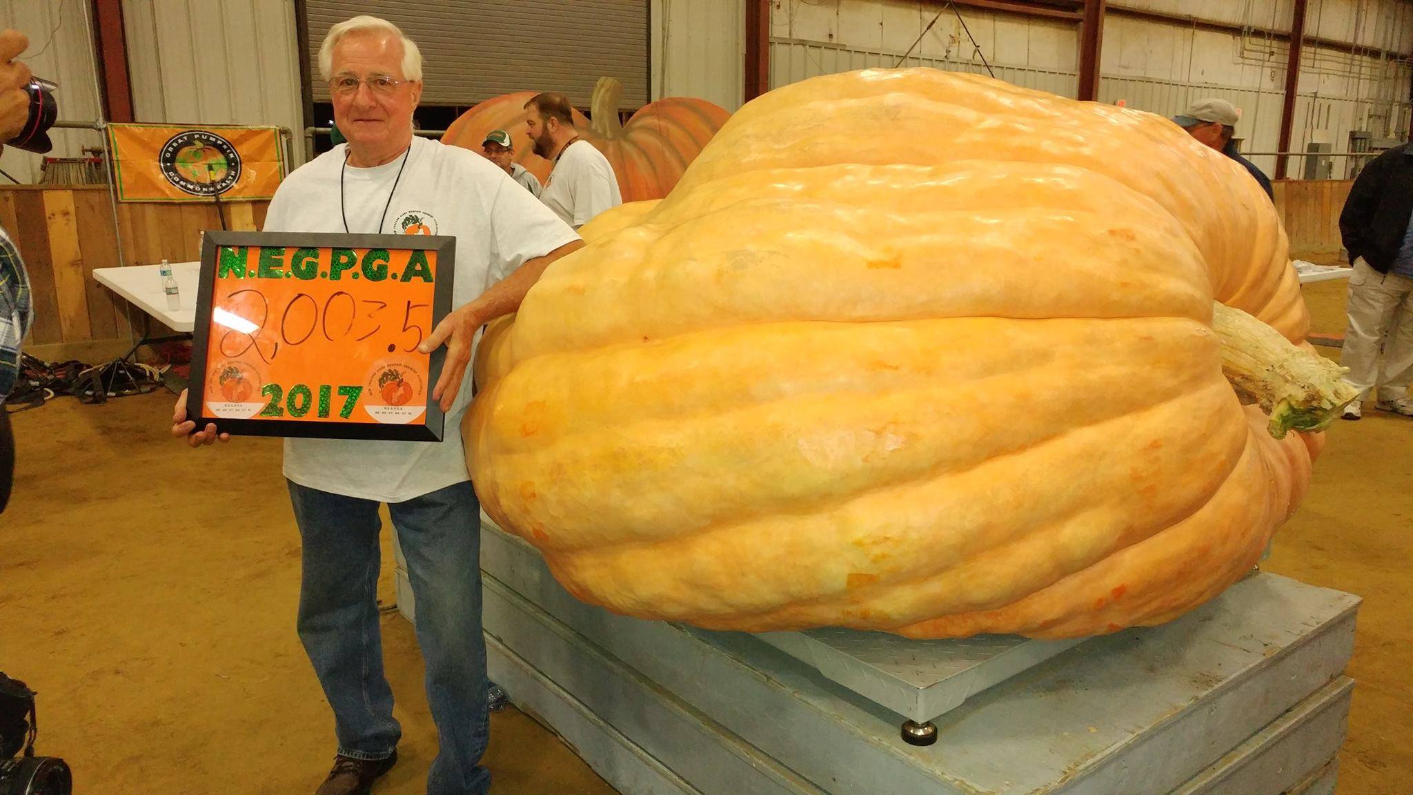 2003.5 lb Pumpkin