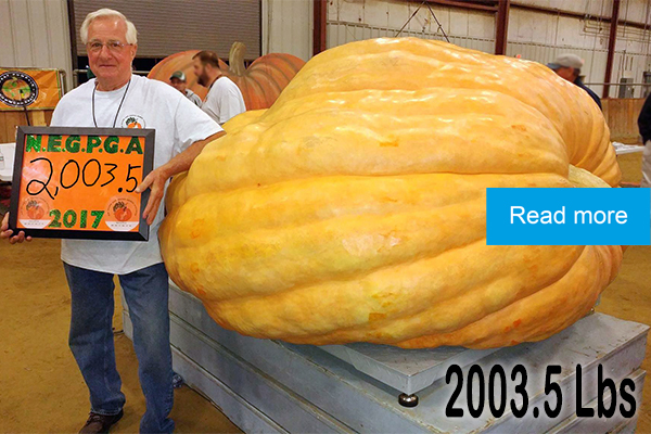 2017 Fair Winner Giant Pumpkin
