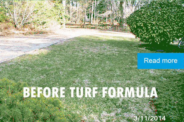 Turf Formula Transformation