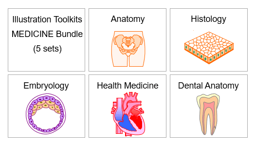 PowerPoint Drawing Toolkits - Medicine Bundle