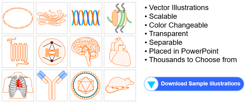 Ready-to-Use Biology & Medicine Illustration Toolkits