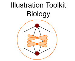 Illustration Toolkit Biology