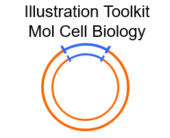 Illustration Toolkit Molecular Cell Biology