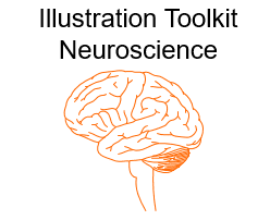 Illustration Toolkit Neuroscience