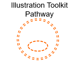 Illustration Toolkit Cell Signaling Pathway