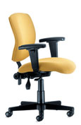 SitOnIt Census Chair