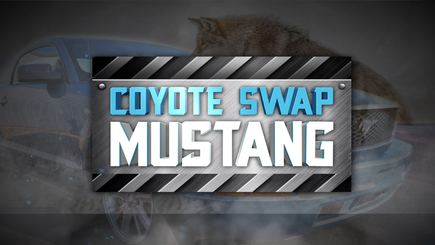 coyote swap