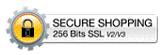 secure shopping 256 bit ssl