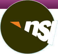 NSI International