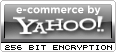 ecommerce encryption provided by Yahoo! 