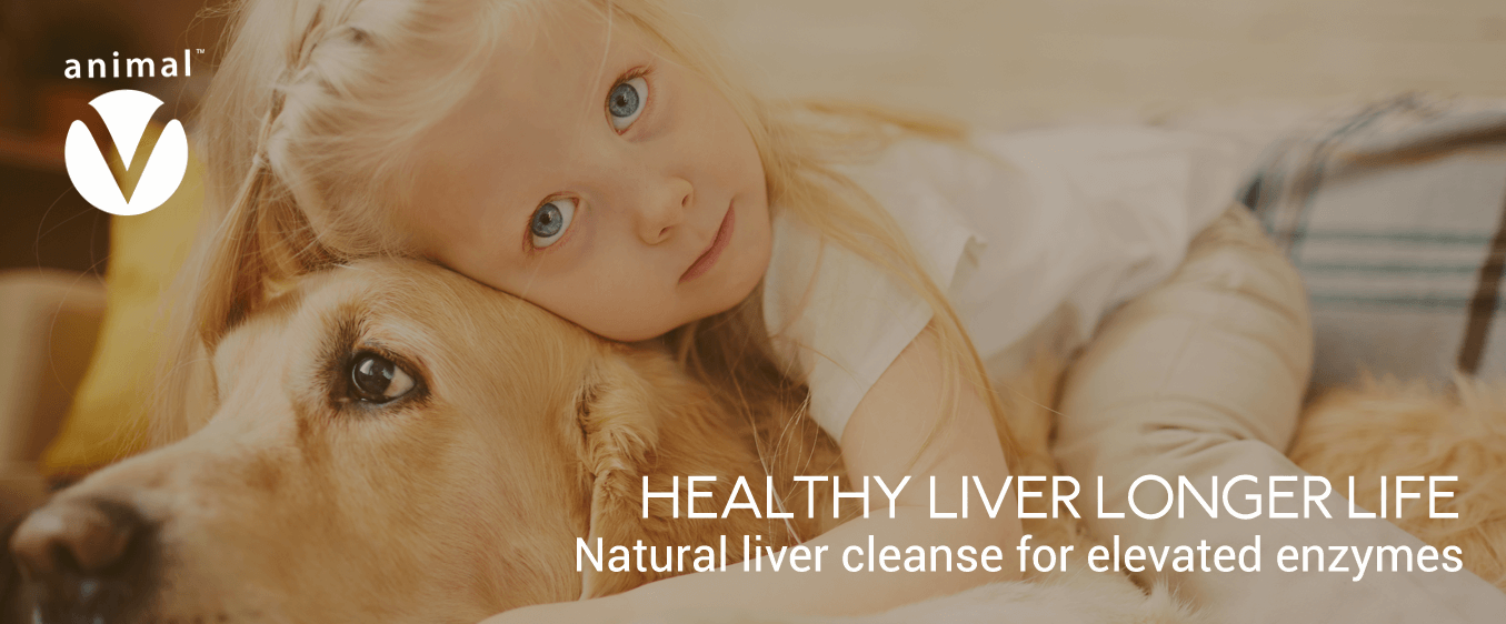Healthy Liver Longer Life