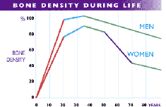 Bone Density Diagram
