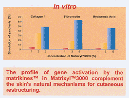 matrixyl vitro